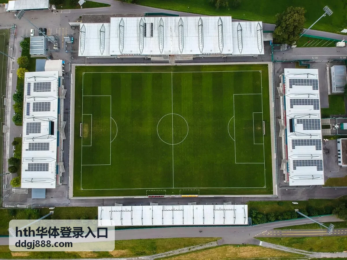 hth华体会员中心权益查看界面示意